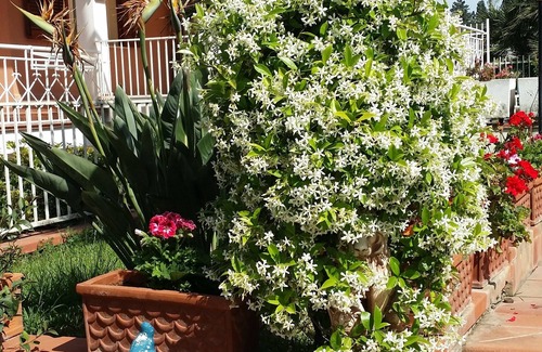 Palermo Villa | A True Oasis In The City