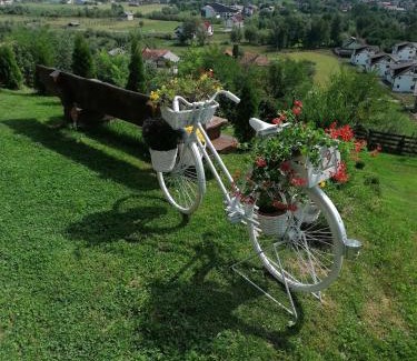 Bran Villa | Acasa la Mariuca
