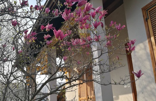 Giaveno House | Accommodation in delightful cottage in Giaveno CIR00111500011 CIN IT001115C286W593TP