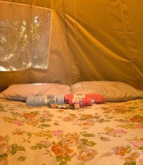 Santarem Other | Aconchego Gaia