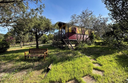 Bidon House | Adorable "Carpe Diem" caravan in a peaceful natural setting