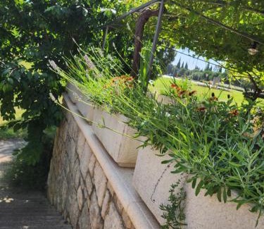 Vrsar Apartment | Adria Vrsar