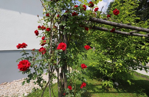 Zasip Apartment | Adventure Cottage by the Sava River