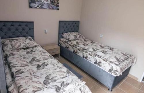 Foca Other | Adventure Tara