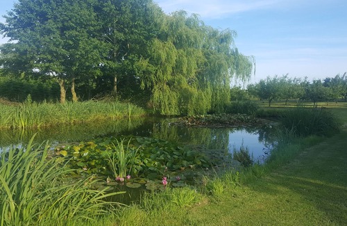 Assens House | Agermosegaard Hyggeligt Feriehus – Landlig idyl i Barløse, Fyn Golf & Cykelruter