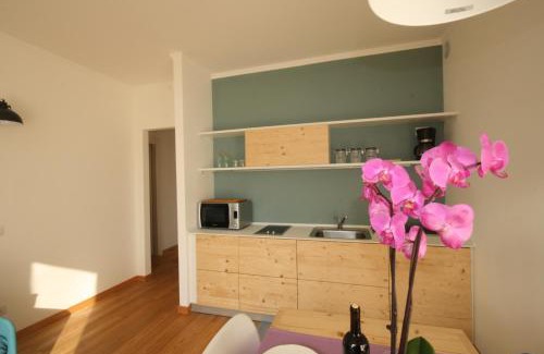 Domaso Apartment | Agriturismo Badalone