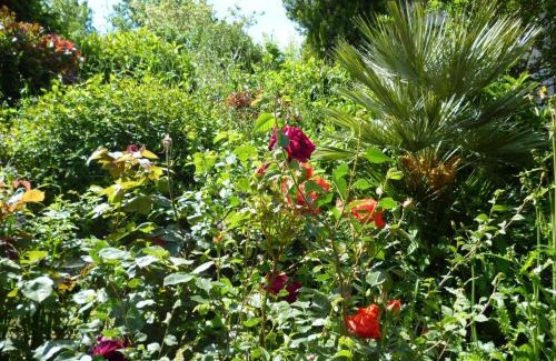 Tolentino House | Agriturismo Vivace