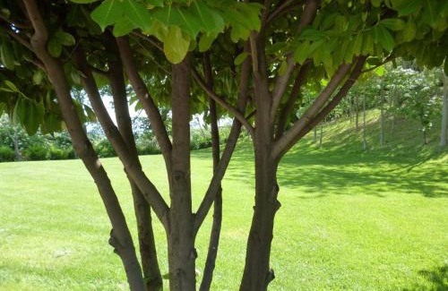 Tolentino House | Agriturismo Vivace