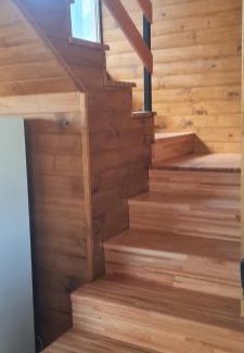 Dina Huapi Ski Chalet | Al pie del león