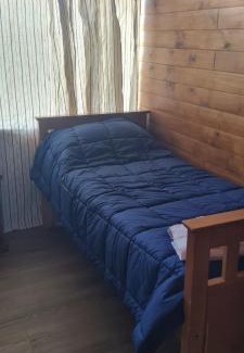 Dina Huapi Ski Chalet | Al pie del león