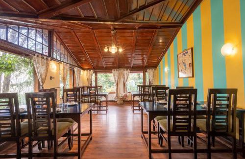 Nainital Hotel | Alaya Stays The Hive Cottage