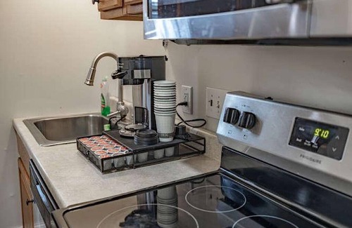 St. Louis Apartment | Albert Hall Renovated Delmar Loop-WU