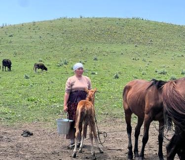 Osh Region Other | Aldayar Ata yurt camp, Ozgon