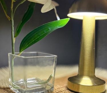 Abha Apartment | Almais