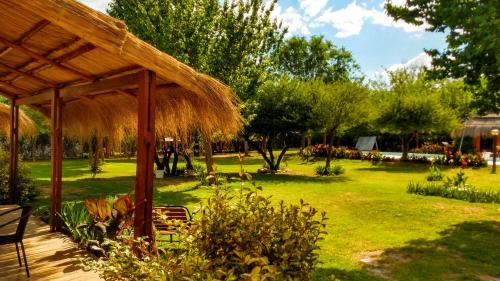 Nono Apartment | Amaikén Suites