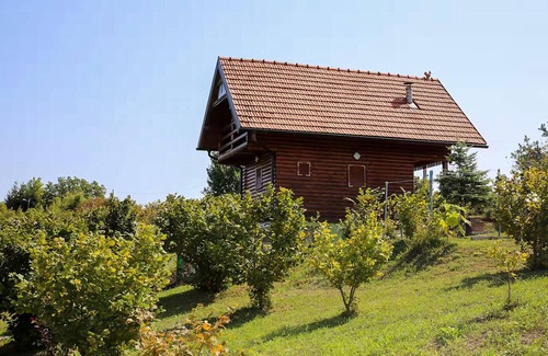 Ozalj House | Amazing home in Zorkovac with sauna