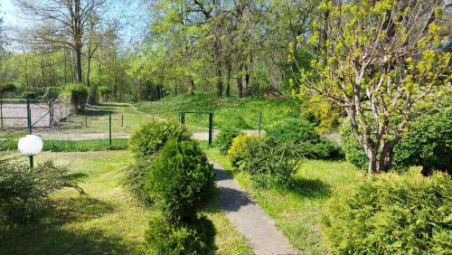 Sombor House | Amazonka