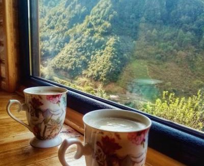 Findikli Ski Chalet | Amiras Dağevi