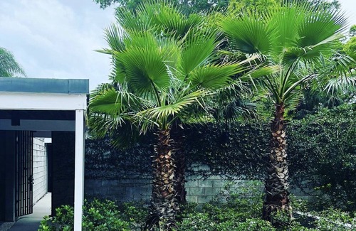 Winter Haven House | An Amazing Mid-Century Modern Experience
