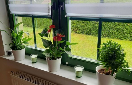 Muritz House | an der Wünnow Comfortable holiday residence