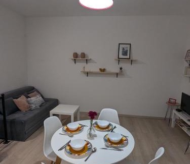 Vracar Apartment | Ana Milesevska
