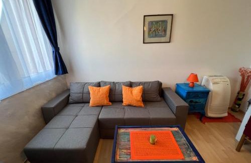 Paracin Apartment | Ana