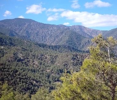 Vasa Koilaniou Cabin | Anastasi Tiny Homes