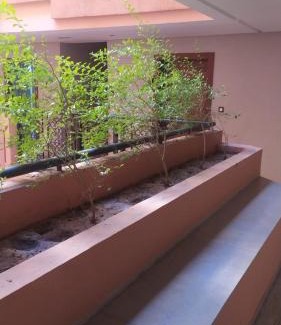 Arset El Bilk Apartment | anizir morocco