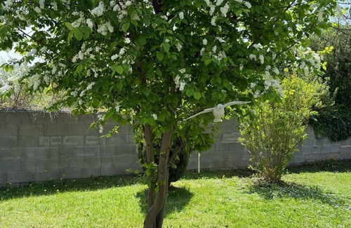 Marchegg House | ANNA - 3-bedroom house in enjoyable Marchegg with WiFi
