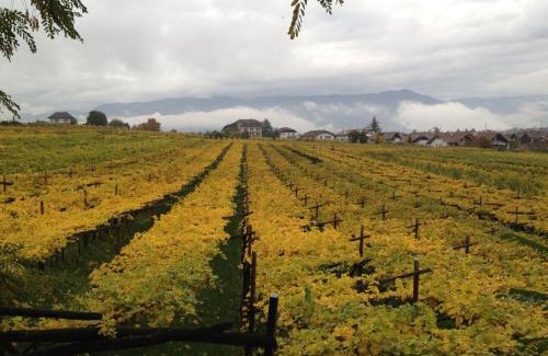 St. Michael/San Michele Apartment | Ansitz Jenner