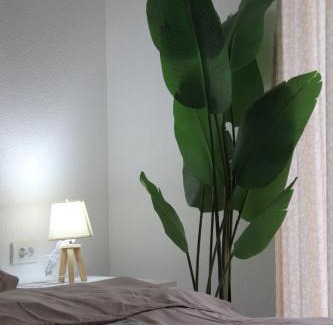 Bijeljina Apartment | Anti-Age Apartmani