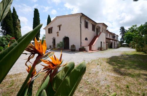 San Vincenzo House | Antichi Palmenti - Corbezzolo