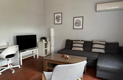 Palaio Faliro Apartment | Antonis's Garden House