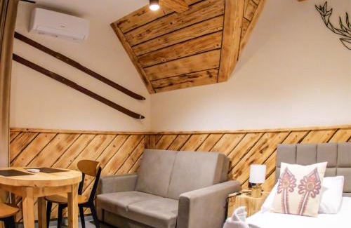 Zakopane Apartment | Apart H900 - Zakopane Tatra View
