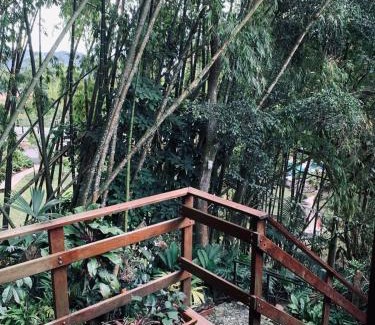 El Poblado Apartment | Aparta Hotel Natural Poblado San Lucas para 5H 114