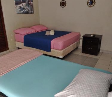 David Apartment | Apartahotel los cactus