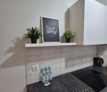 Stargard Szczecinski Apartment | Apartament Centrum z darmowym podziemnym parkingiem