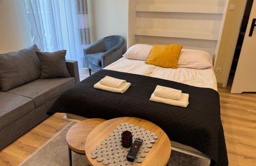 Wisla House | Apartament i Pokoje Gościnne u Lusi