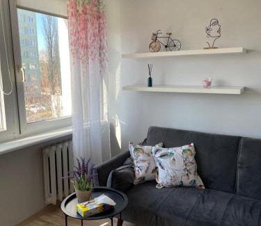 Olsztyn Apartment | Apartament Pan Tadeusz