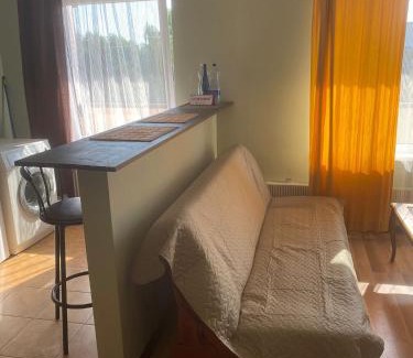 Jurmala Apartment | Apartament Tallinas 9