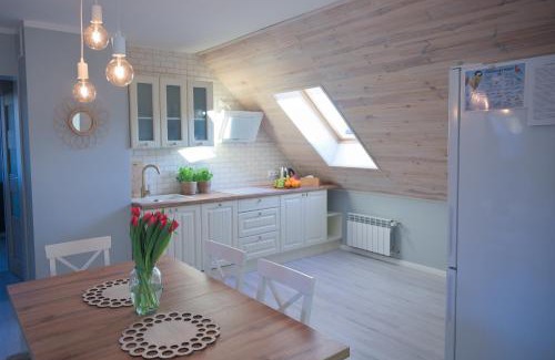 Lodyna Apartment | Apartament u Sikorki