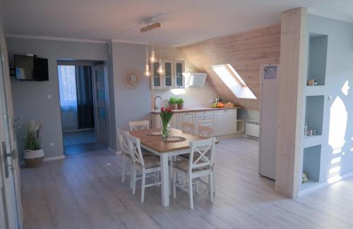 Lodyna Apartment | Apartament u Sikorki