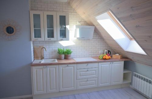 Lodyna Apartment | Apartament u Sikorki