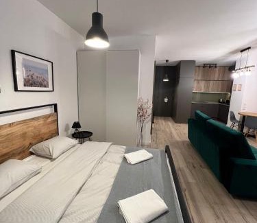 Centrum Apartment | Apartament WARSZAWA Kolejowa HUB EXPO