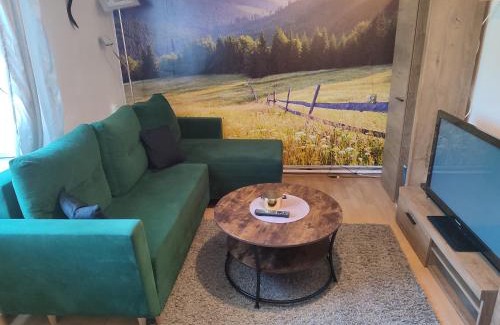 Czarna Apartment | Apartament Wrzos Bieszczady