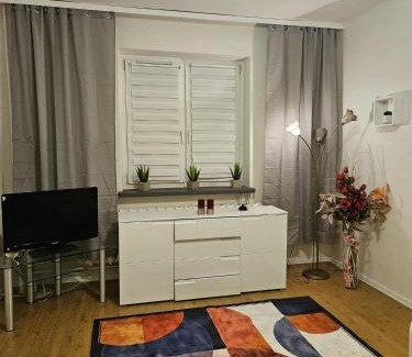 Dabrowa Gornicza Apartment | Apartament Zielony Zakątek