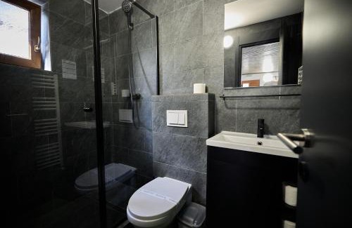 Cavnic House | Apartamente cu 3 dormitoare SuperSki
