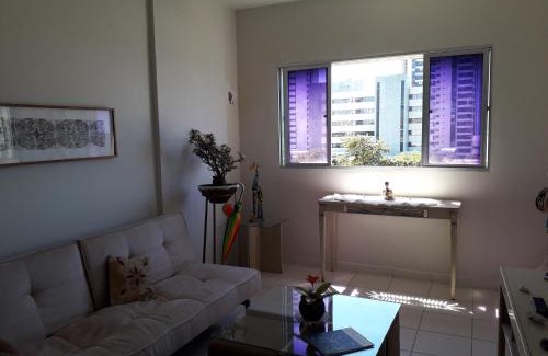 Santo Amaro Apartment | Apartamento aconchegante