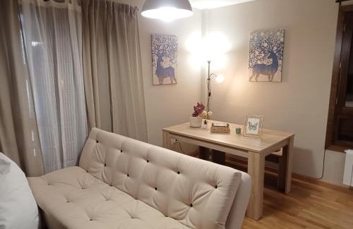Villanua Apartment | Apartamento CIR