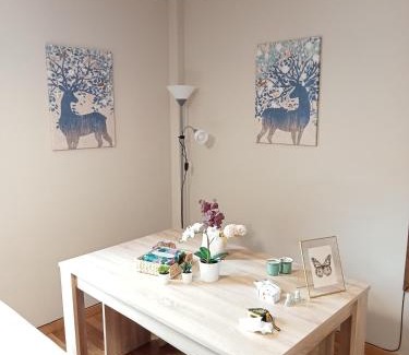 Villanua Apartment | Apartamento CIR